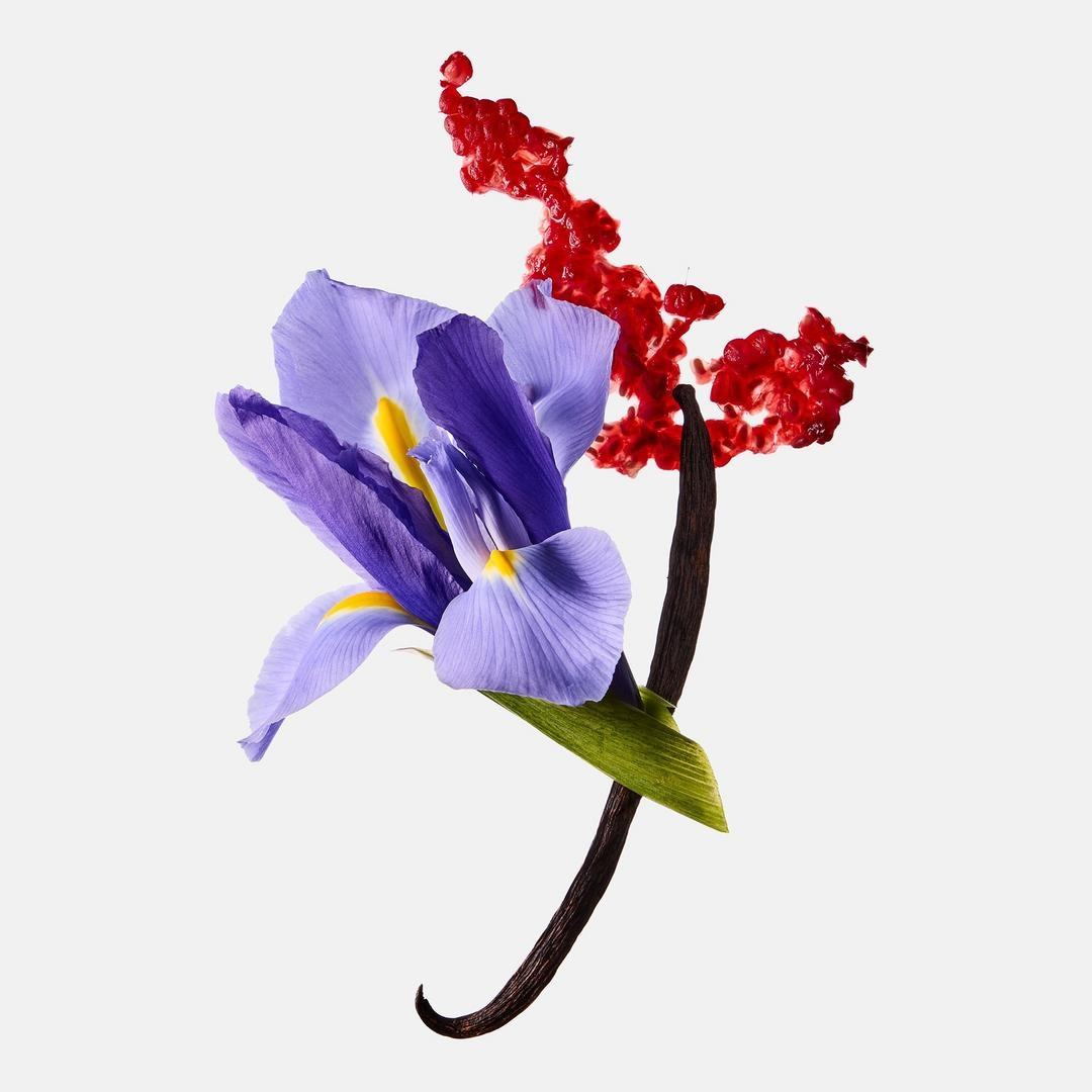 Bath & Body Works Butterfly Eau de Parfum - Imagen 2
