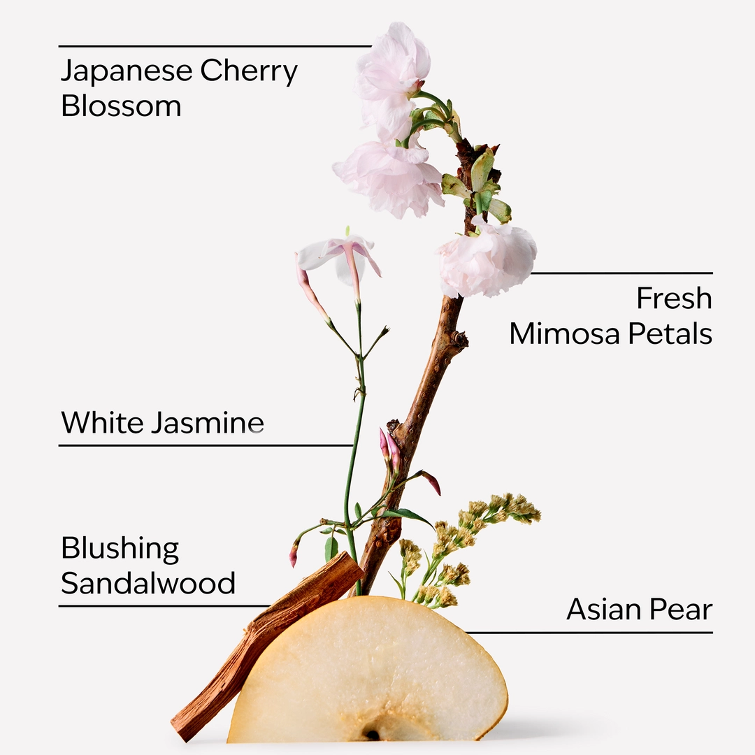 Bath & Body Works Japanese Cherry Blossom Travel Size Gift Set - Imagen 2